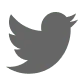 Twitter social media icon